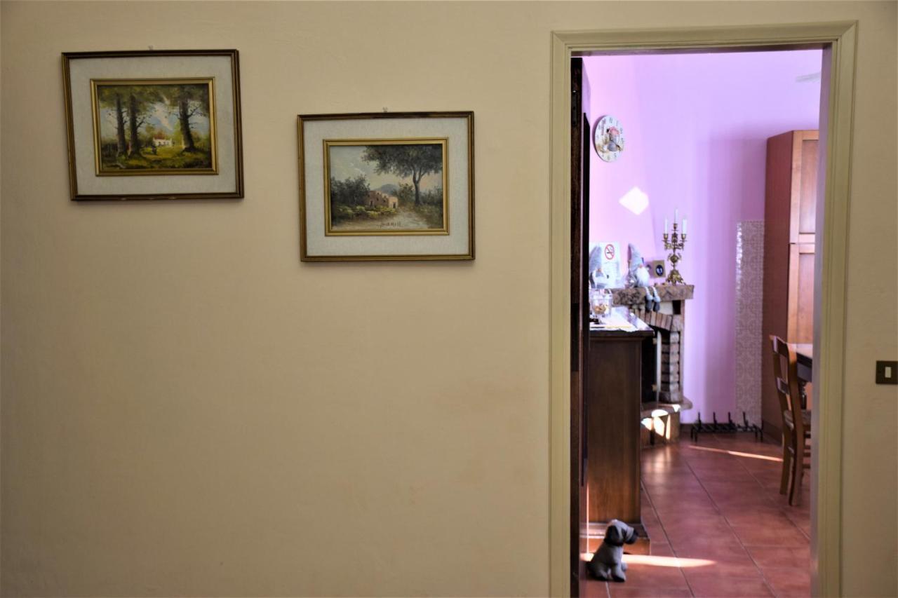 Bed and Breakfast La Lanterna Di Lida E Beppe Pisa Exterior foto